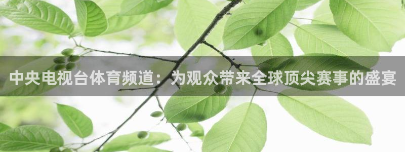 松鼠官方网站：中央电视台体育频道：为观众带来全球顶尖赛事的盛宴