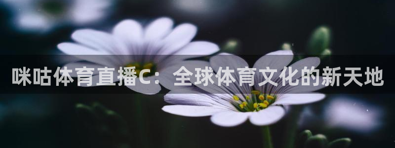松鼠网官方下载：咪咕体育直播C：全球体育文化的新天地