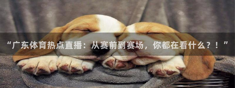 松鼠体育在线直播：“广东体育热点直播：从赛前到赛场，你都在看什么？！”