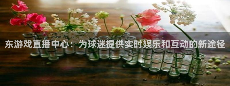 松鼠客户端：东游戏直播中心：为球迷提供实时娱乐和互动的新途径