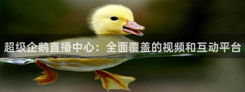 松鼠宝贝体育：超级企鹅直播中心：全面覆盖的视频和互动平台