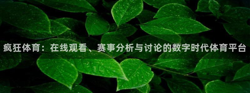 松鼠直播体育免费：疯狂体育：在线观看、赛事分析与讨论的数字时代体育平台