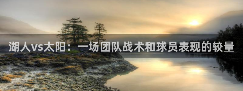 松鼠直播体育免费：湖人vs太阳：一场团队战术和球员表现的较量