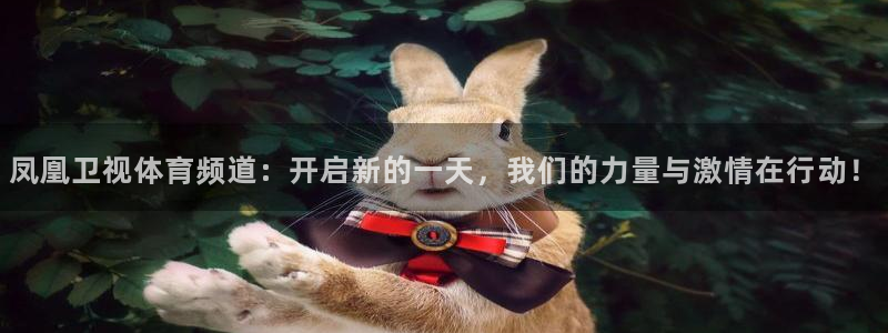 松鼠官方网站：凤凰卫视体育频道：开启新的一天，我们的力量与激情在行动！