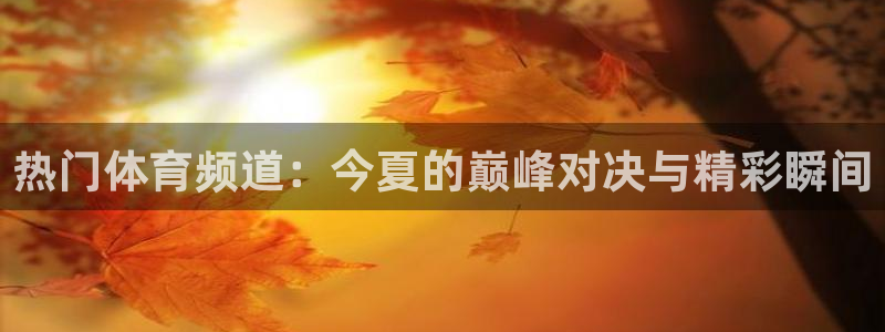 松鼠直播体育：热门体育频道：今夏的巅峰对决与精彩瞬间