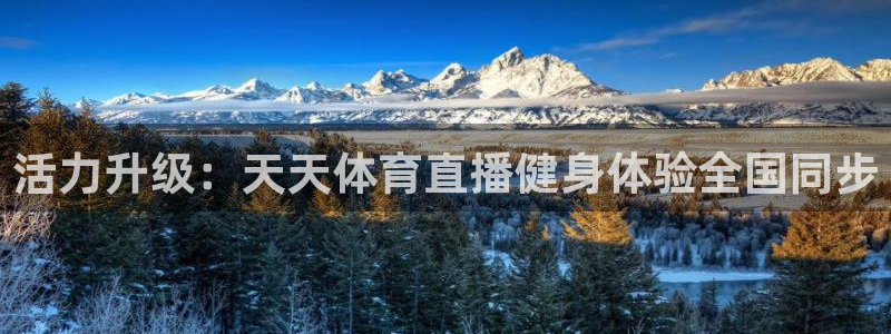 松鼠体育：活力升级：天天体育直播健身体验全国同步