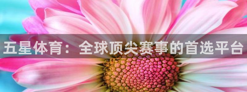 松鼠直播：五星体育：全球顶尖赛事的首选平台