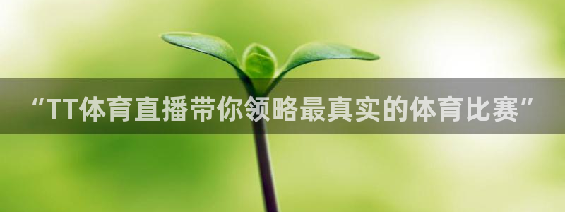 松鼠体育下载：“TT体育直播带你领略最真实的体育比赛”